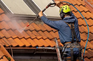Démoussage et hydrofuge de toiture à Dalou